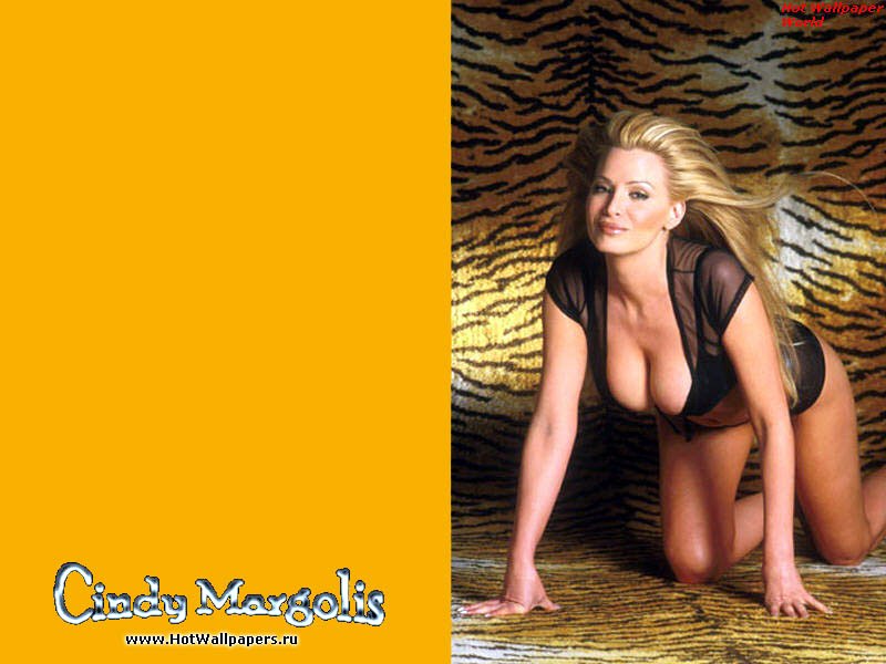 Cindy Margolis - обои для рабочего стола - wallpapers