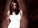 Denise Richards - обои для рабочего стола - wallpapers